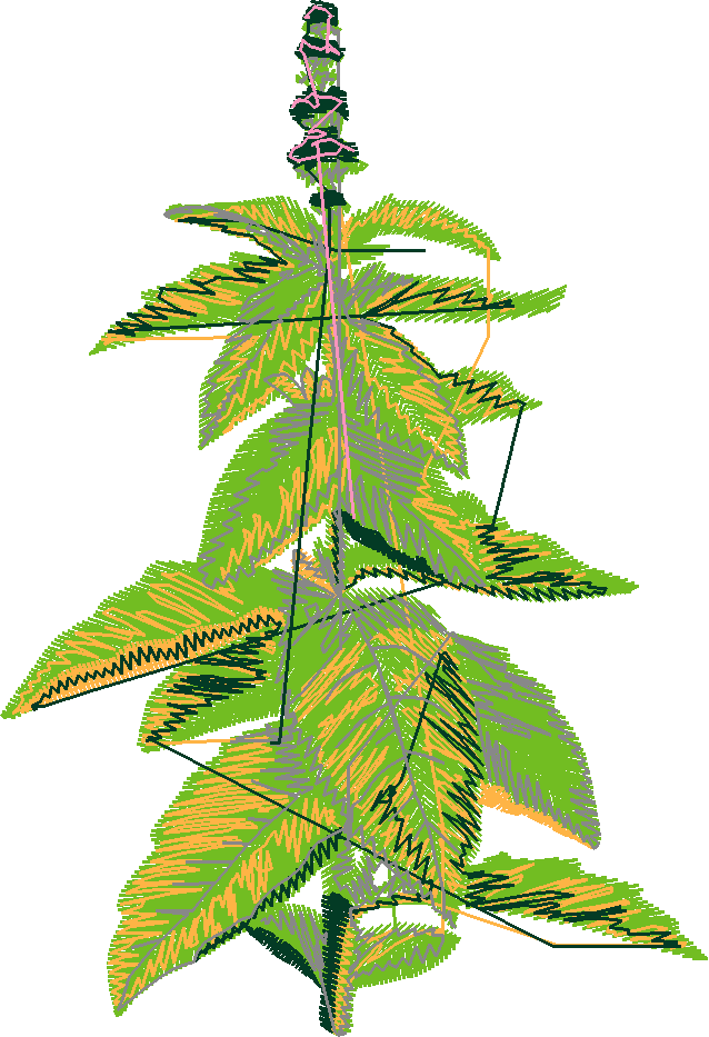 Fruit & Vegetables 12  (1)