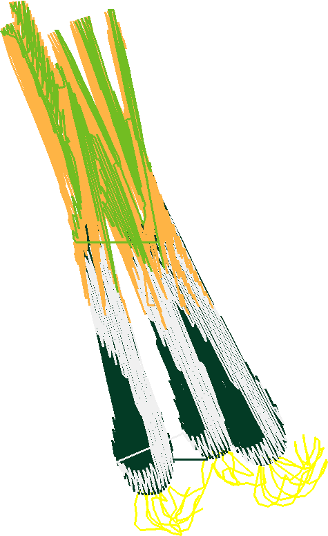 Fruit & Vegetables 12  (10)