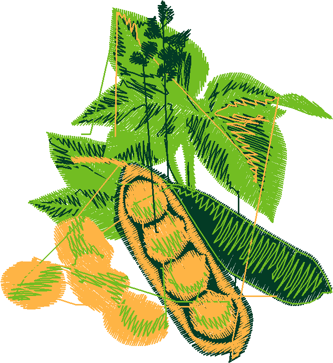 Fruit & Vegetables 12  (12)