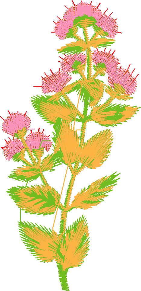 Fruit & Vegetables 12  (13)