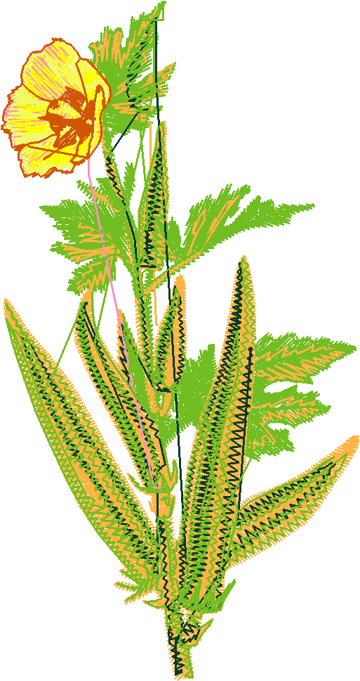 Fruit & Vegetables 12  (14)