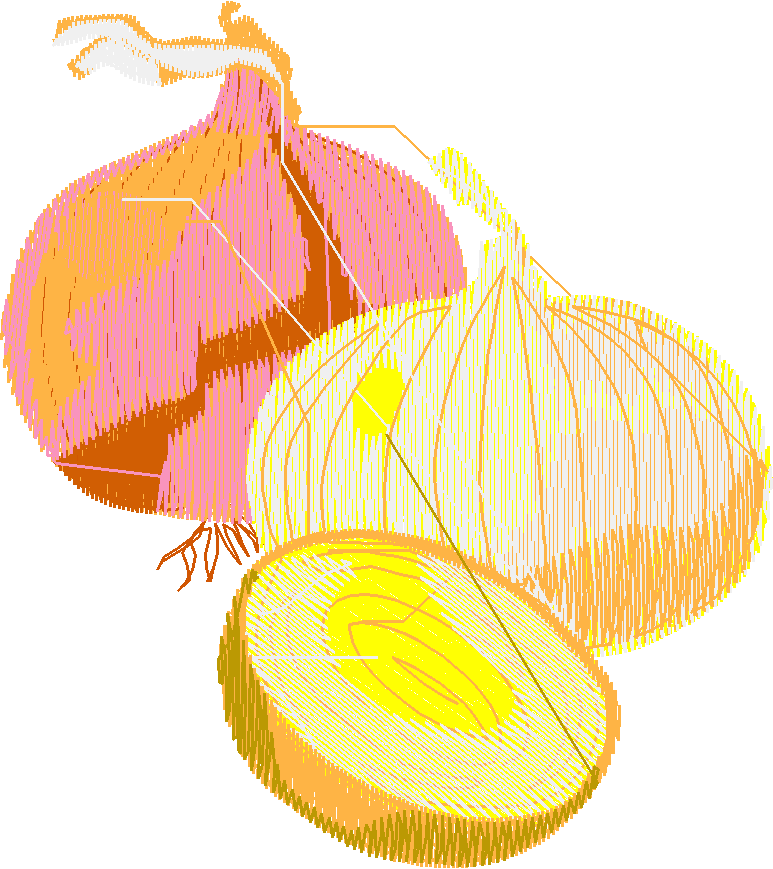 Fruit & Vegetables 12  (15)