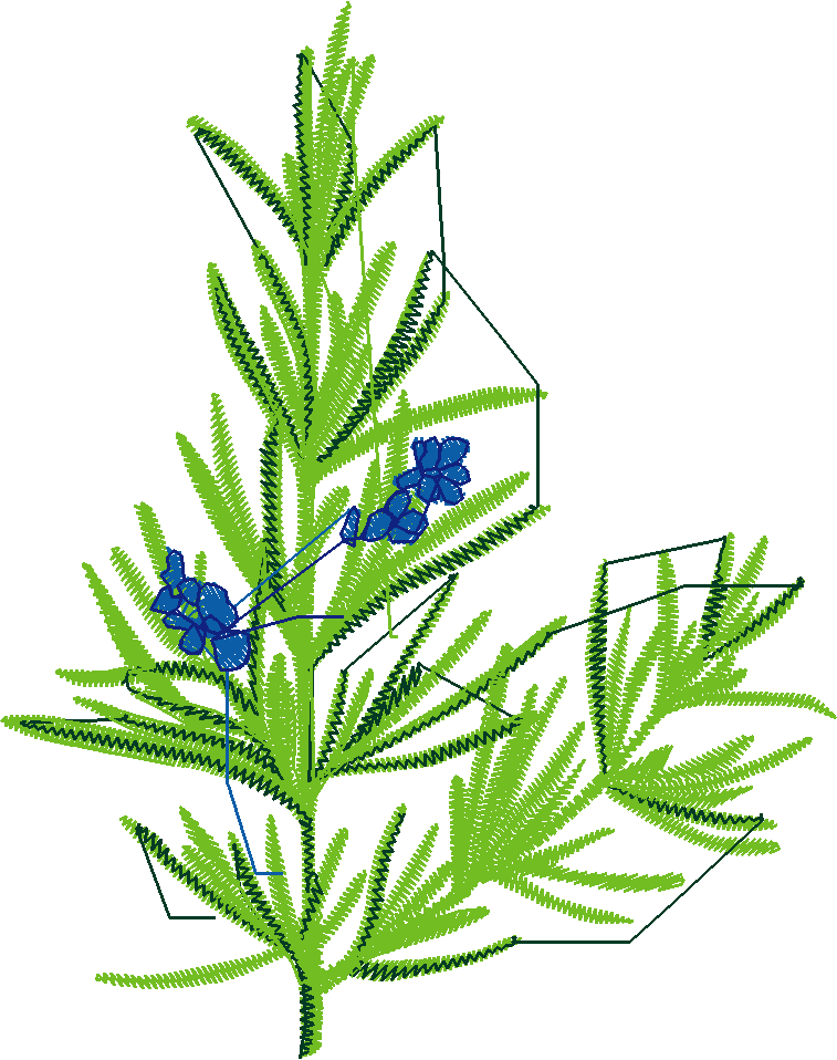 Fruit & Vegetables 12  (17)