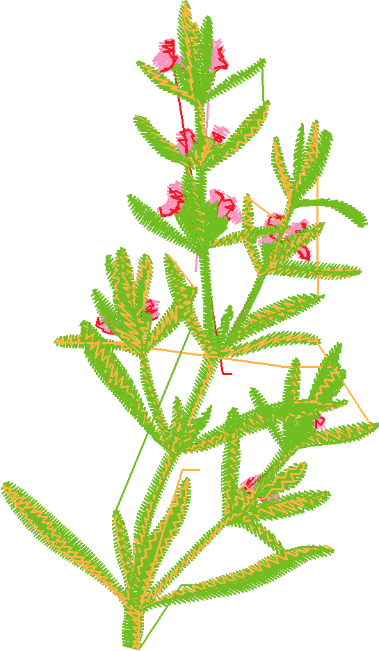 Fruit & Vegetables 12  (19)