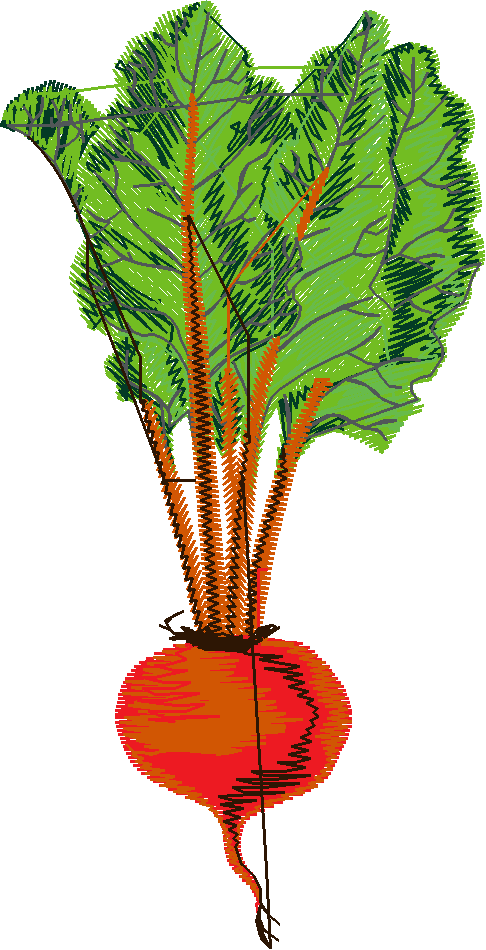 Fruit & Vegetables 12  (2)