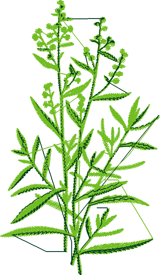 Fruit & Vegetables 12  (20)