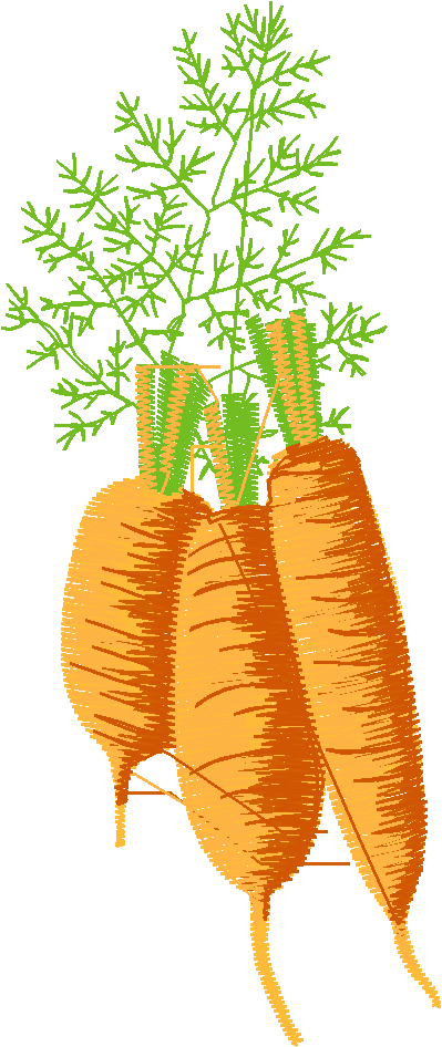 Fruit & Vegetables 12  (3)