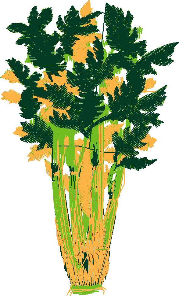 Fruit & Vegetables 12  (4)