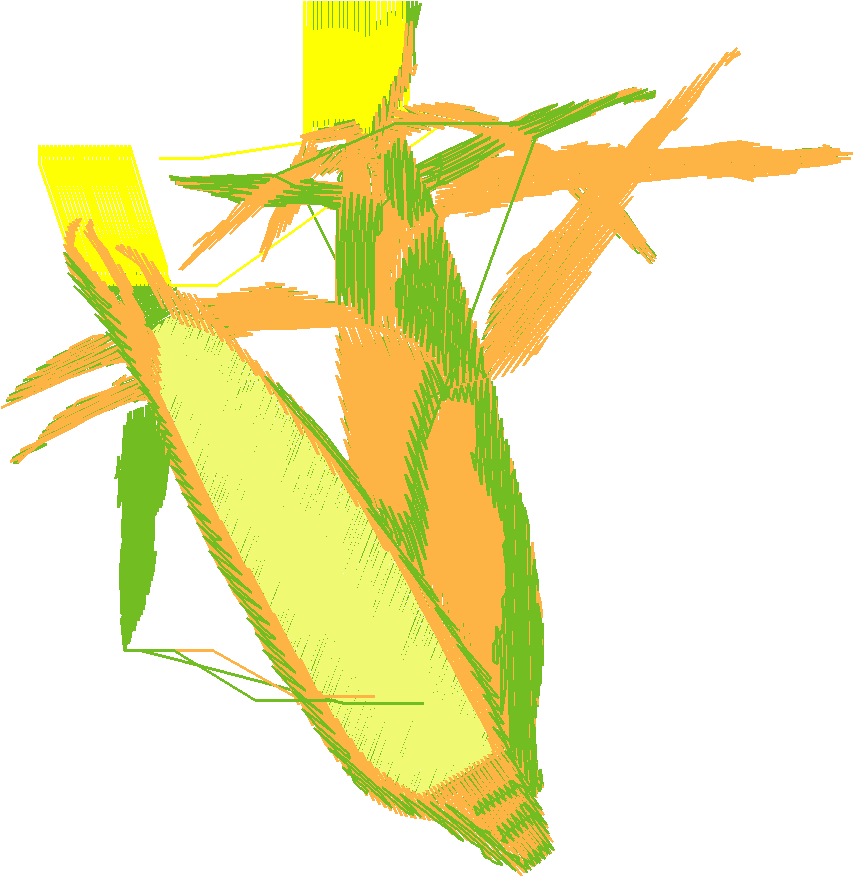 Fruit & Vegetables 12  (5)