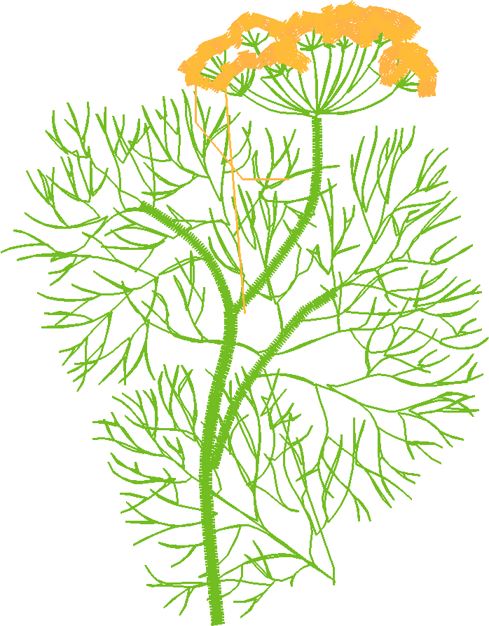 Fruit & Vegetables 12  (6)