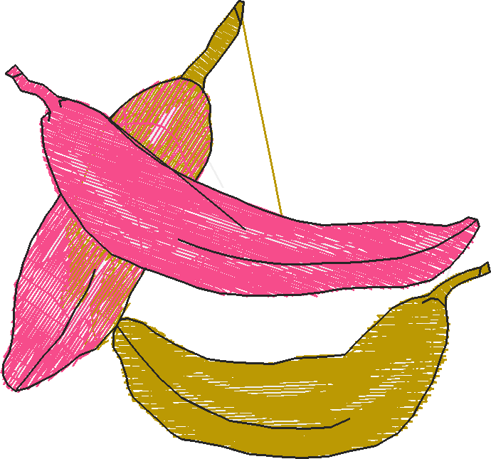 Fruit & Vegetables 13  (10)