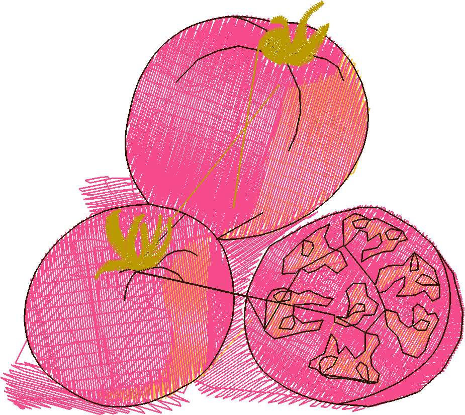 Fruit & Vegetables 13  (12)