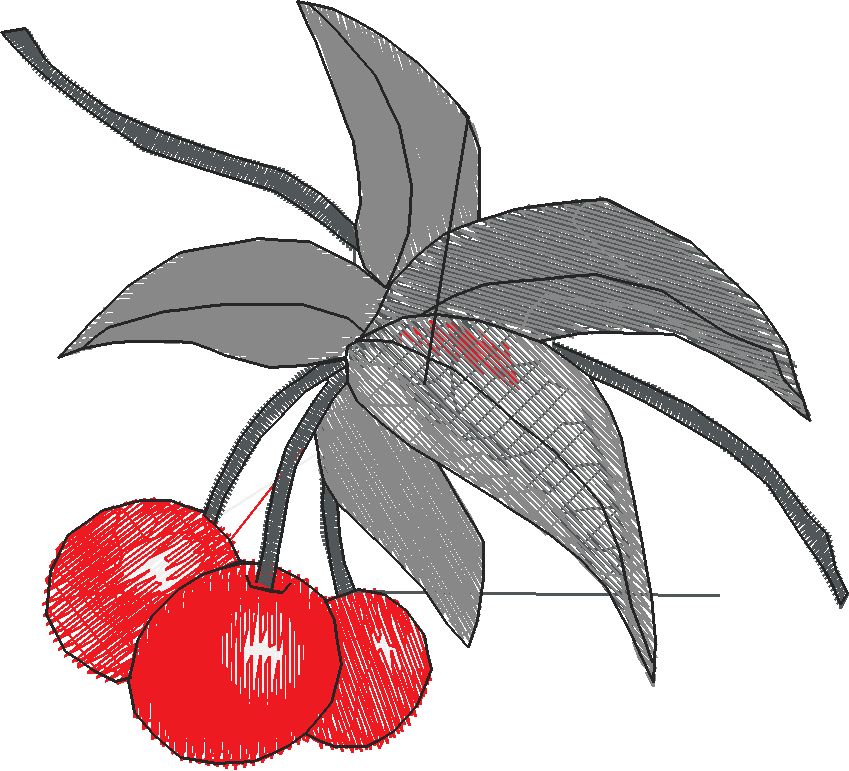 Fruit & Vegetables 13  (5)