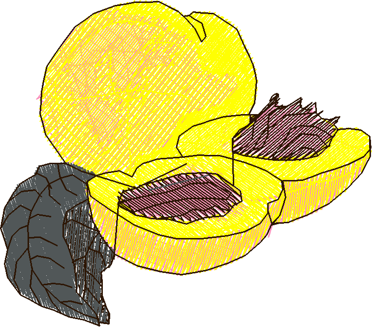 Fruit & Vegetables 13  (9)