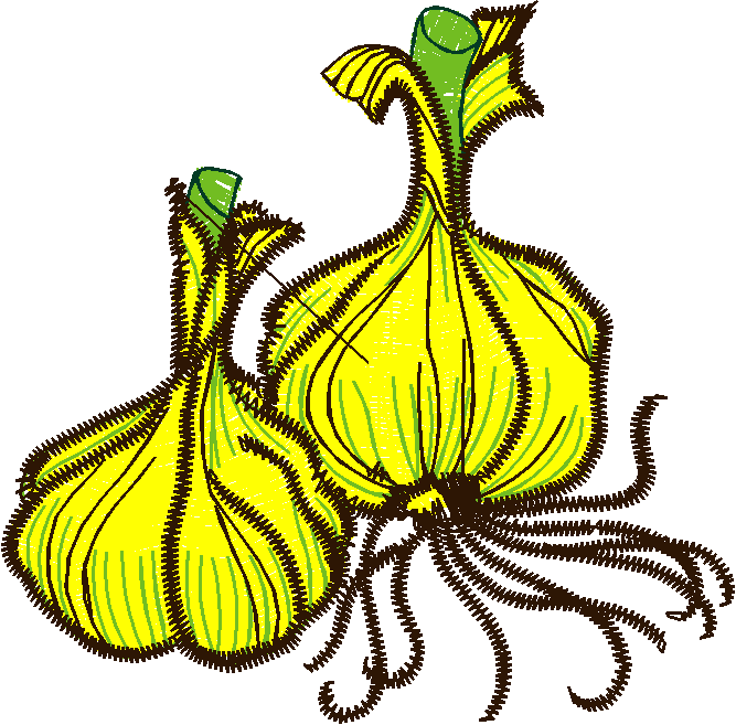 Fruit & Vegetables 15  (10)