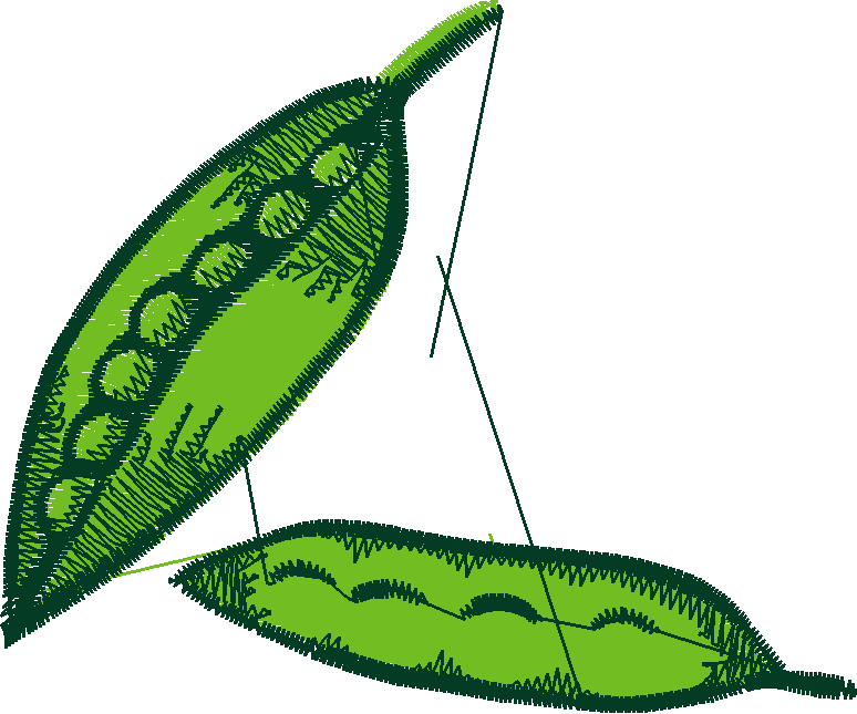 Fruit & Vegetables 15  (11)