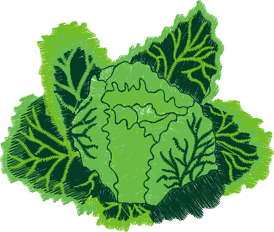 Fruit & Vegetables 15  (12)