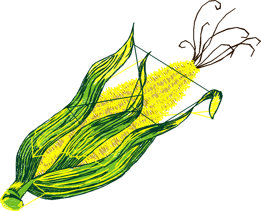 Fruit & Vegetables 15  (16)