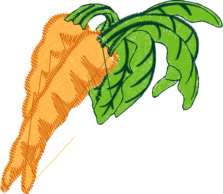 Fruit & Vegetables 15  (18)