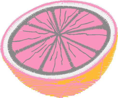 Fruit & Vegetables 15  (6)