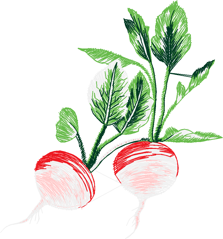 Fruit & Vegetables 16  (1)