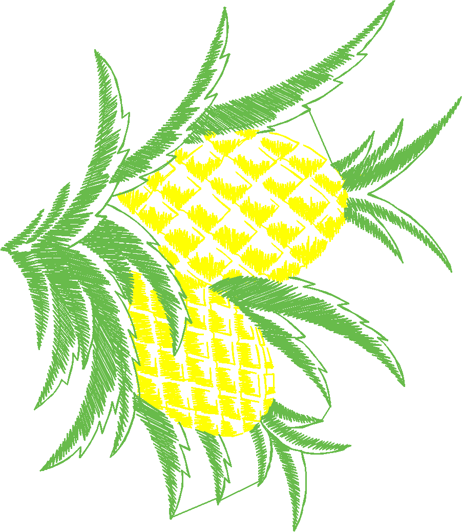 Fruit & Vegetables 16  (16)