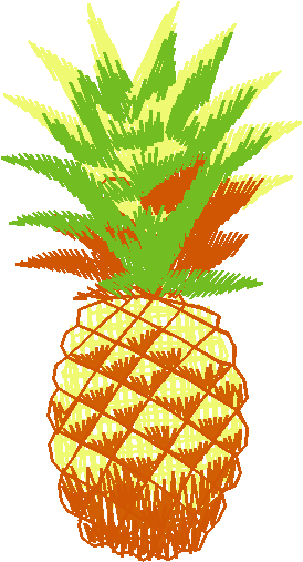 Fruit & Vegetables 16  (19)