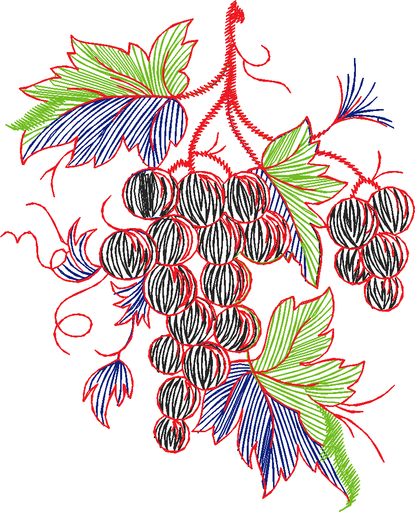 Fruit & Vegetables 16  (2)