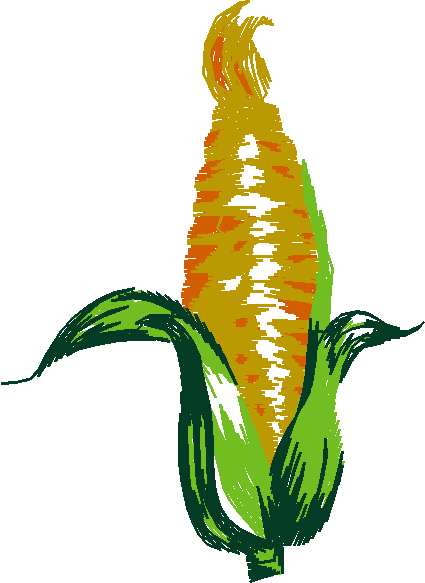 Fruit & Vegetables 16  (24)