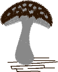 Fruit & Vegetables 16  (30)