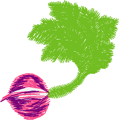 Fruit & Vegetables 16  (31)