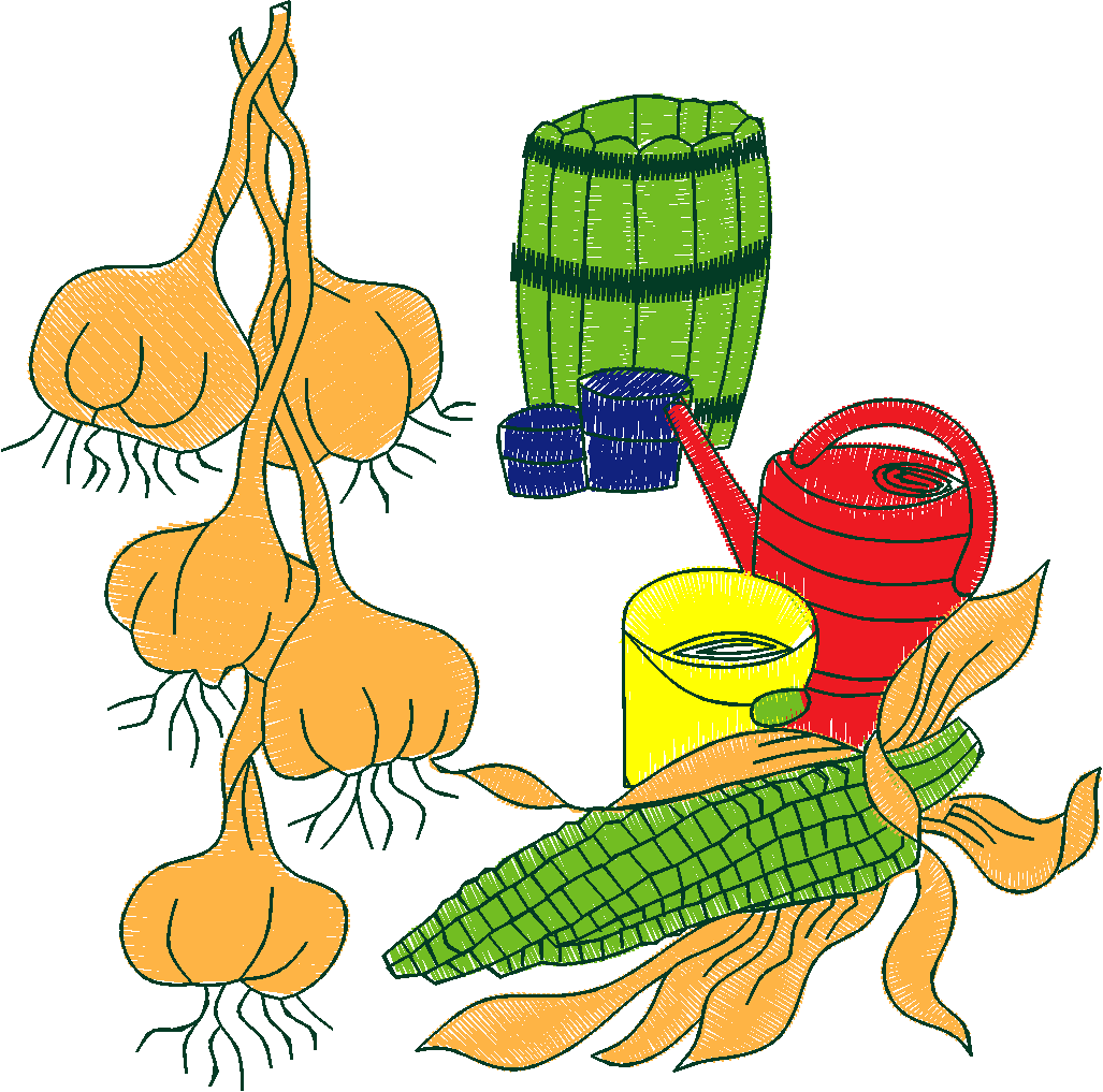 Fruit & Vegetables 16  (6)