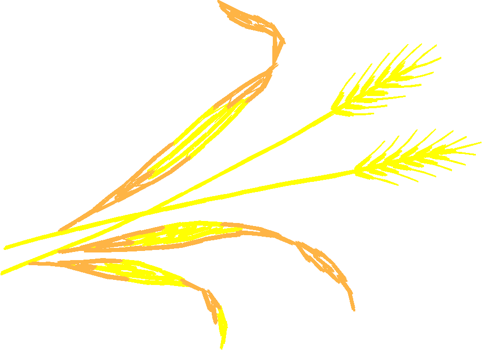 Fruit & Vegetables 16  (61)