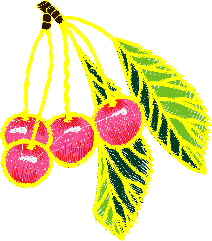 Fruit & Vegetables 16  (65)