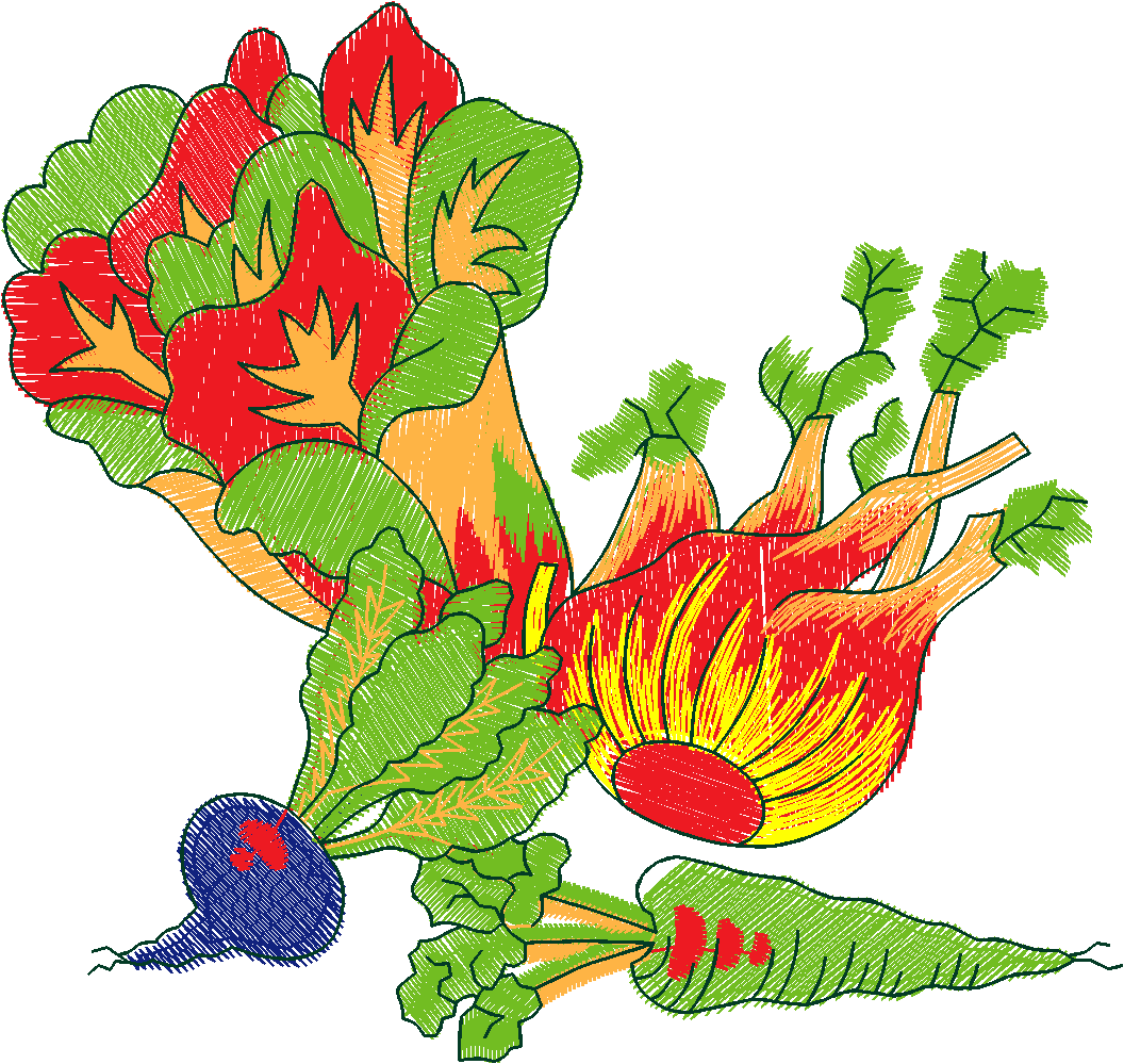 Fruit & Vegetables 16  (7)