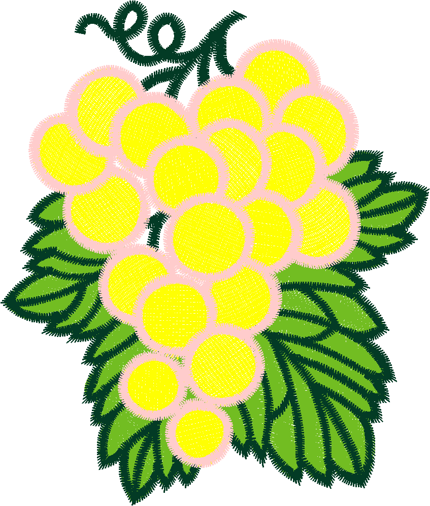 Fruit & Vegetables 16  (70)