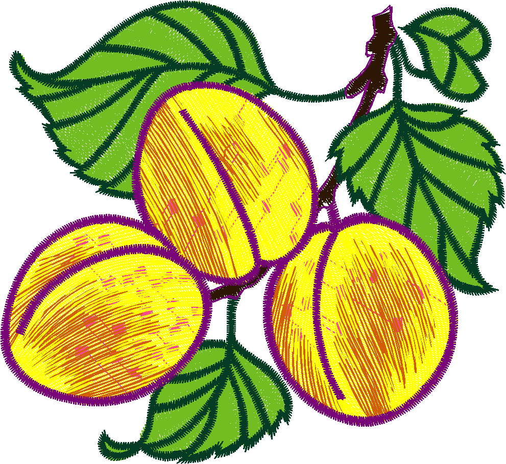 Fruit & Vegetables 16  (72)