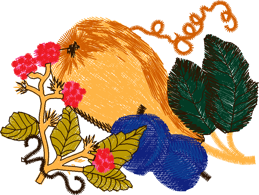 Fruit & Vegetables 16  (75)