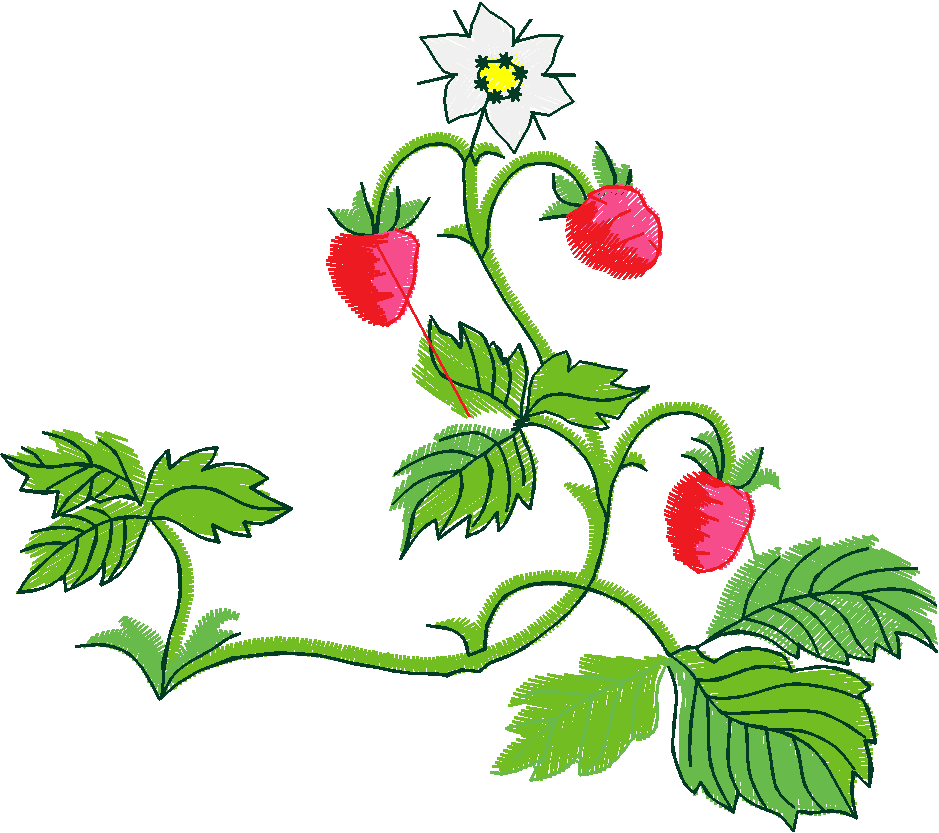 Fruit & Vegetables 16  (79)