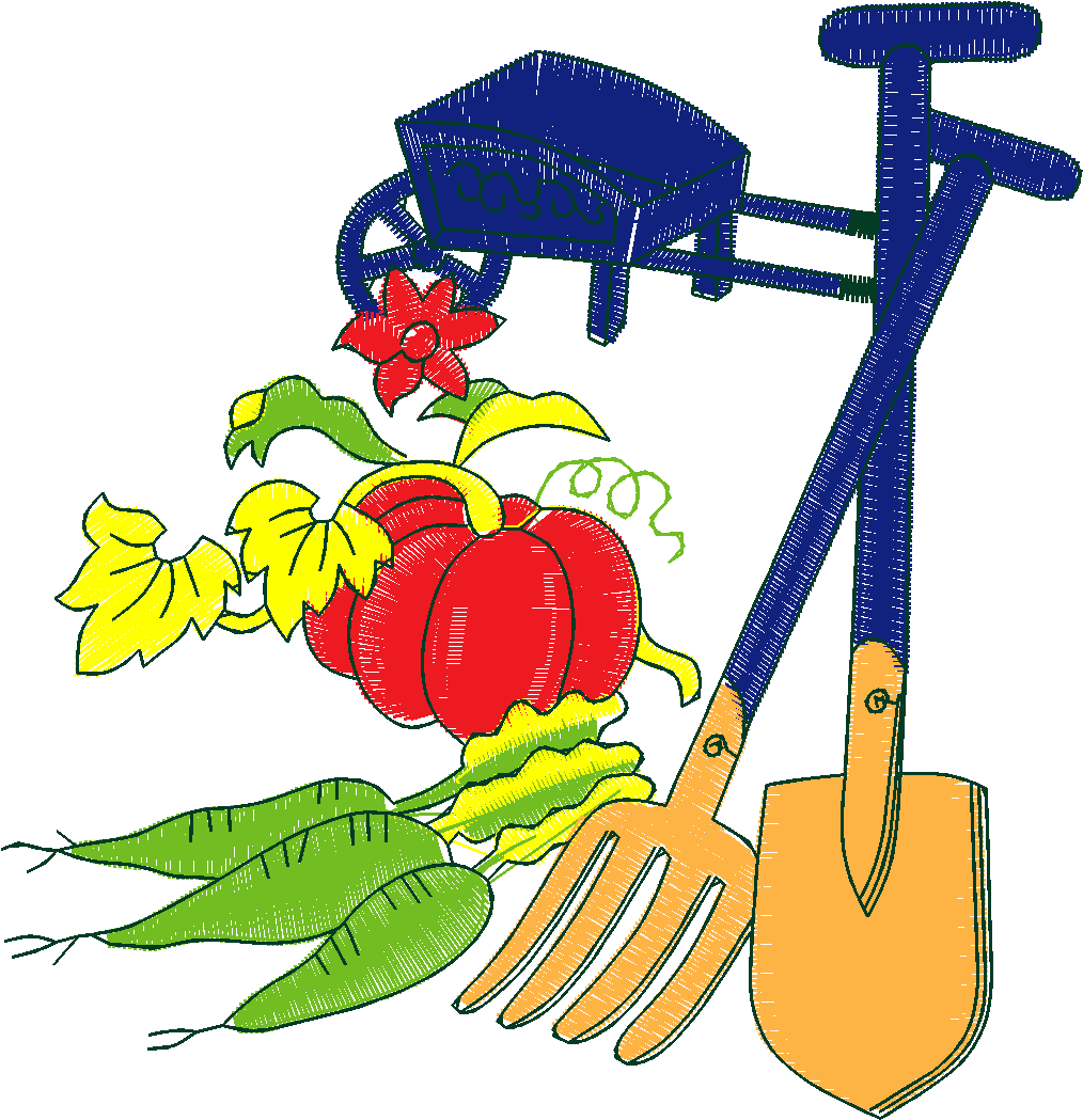 Fruit & Vegetables 16  (8)