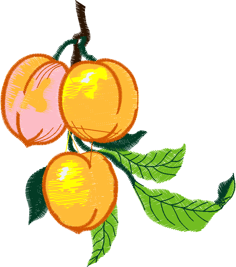 Fruit & Vegetables 16  (82)