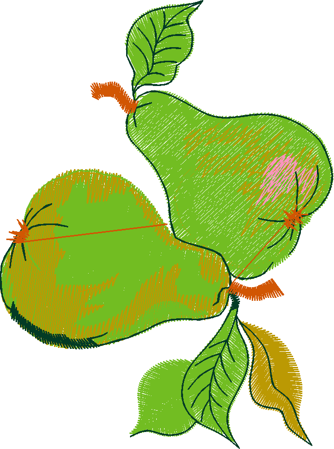 Fruit & Vegetables 16  (84)