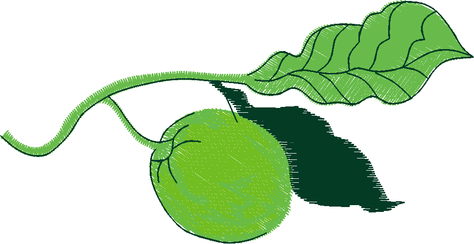 Fruit & Vegetables 16  (87)