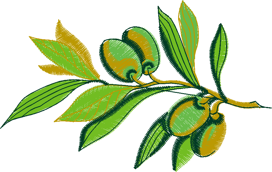 Fruit & Vegetables 16  (89)