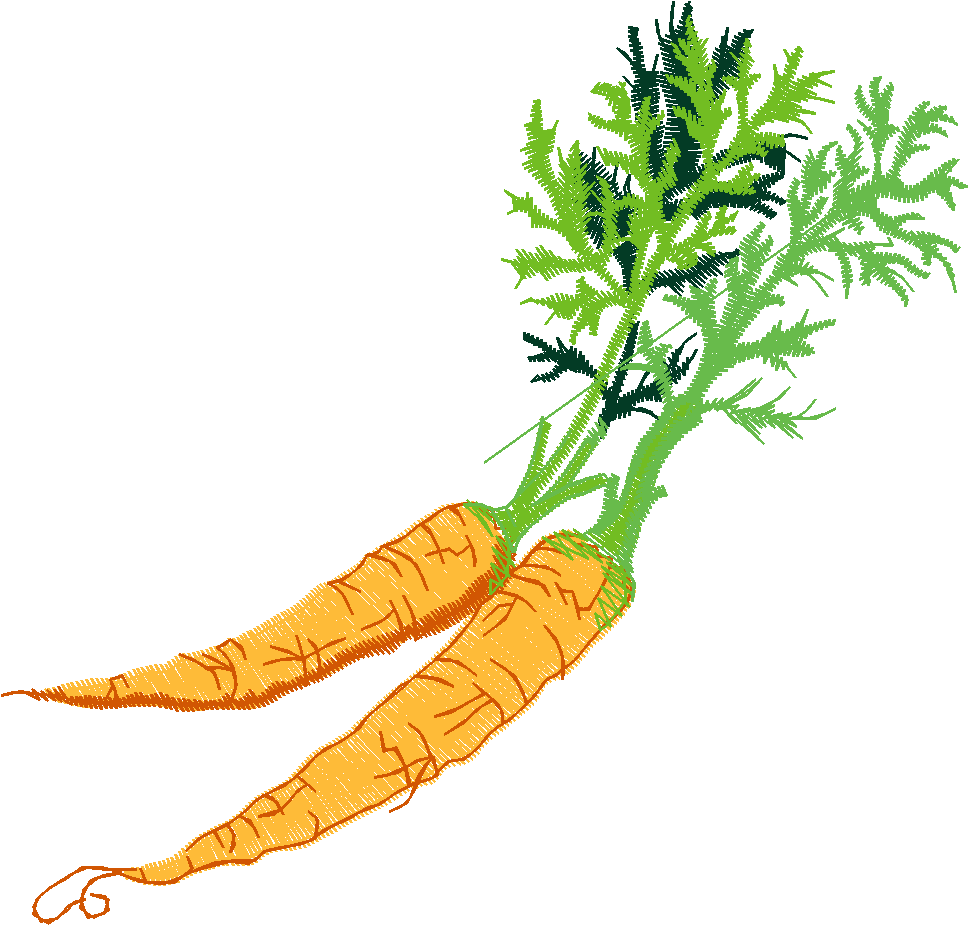 Fruit & Vegetables 16  (90)