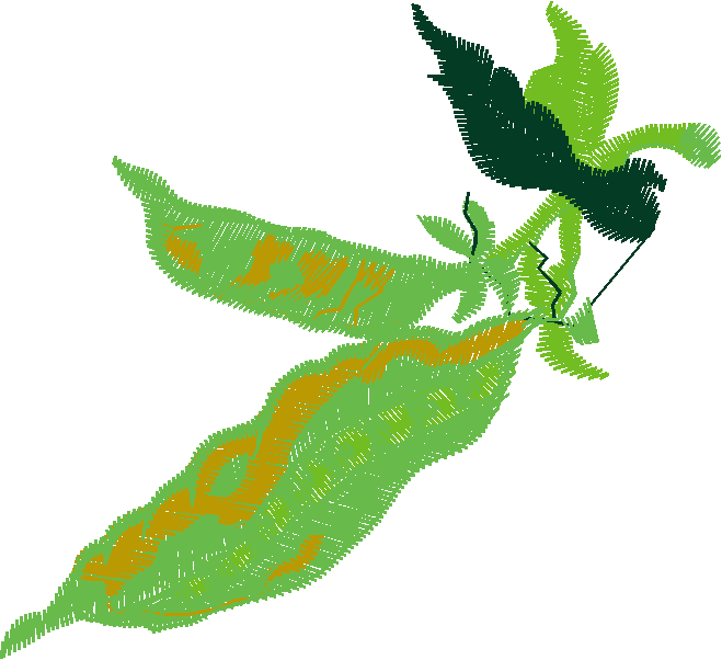 Fruit & Vegetables 16  (92)