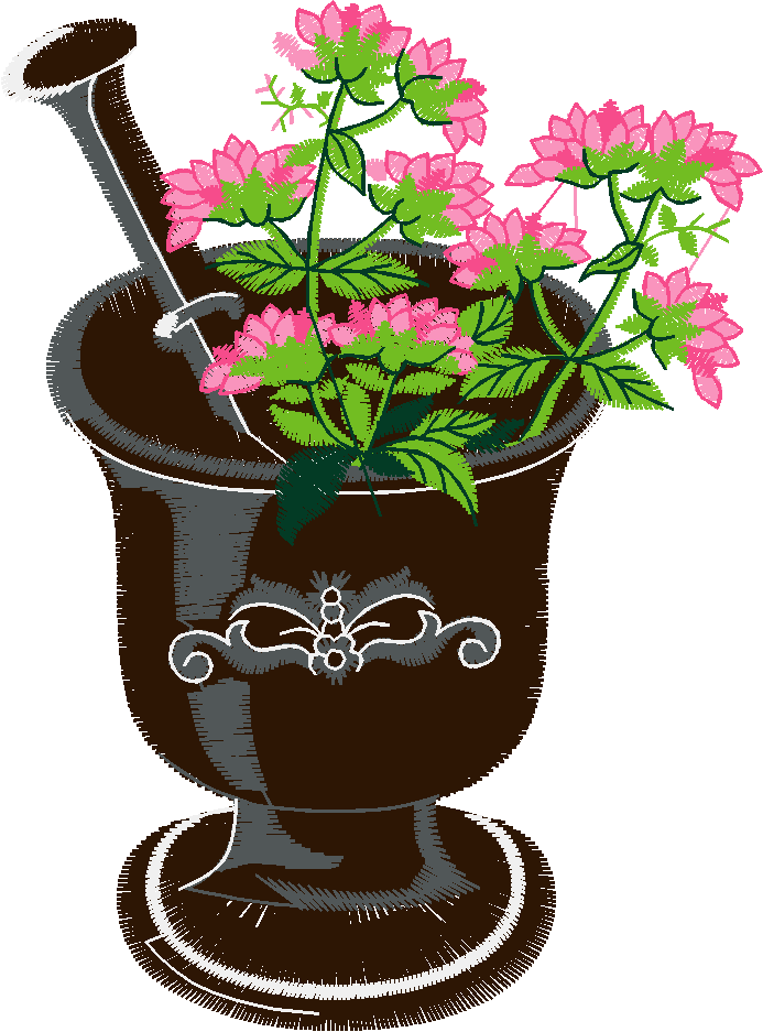 Fruit & Vegetables 16  (94)