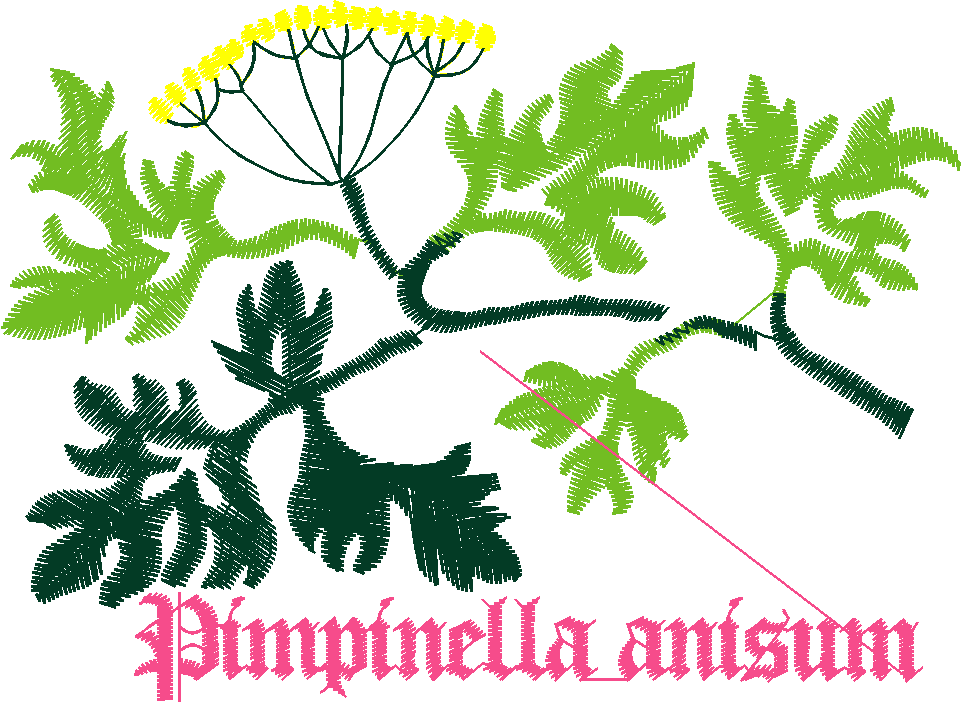 Fruit & Vegetables 16  (95)