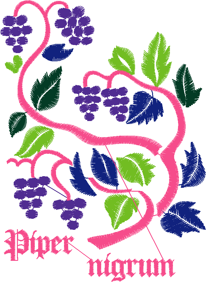 Fruit & Vegetables 16  (96)