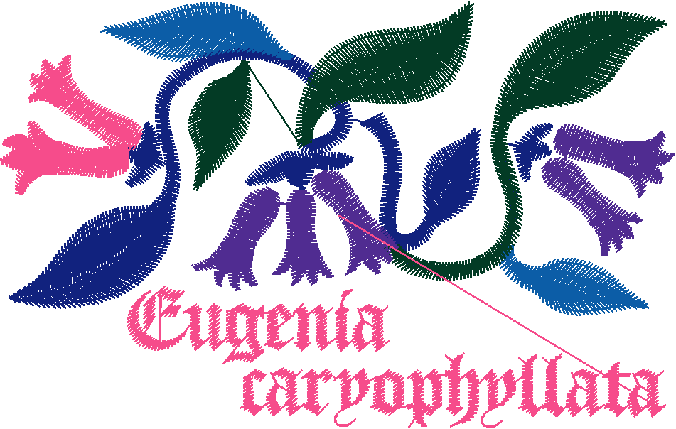 Fruit & Vegetables 16  (97)